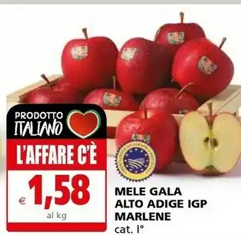 Marlene Mele Gala Alto Adige Igp