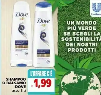 Il Gigante Dove Shampoo offerta