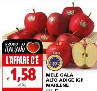 Il Gigante Marlene Mele Gala Alto Adige IGP offerta