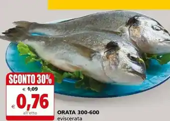 Il Gigante Orata 300-600 offerta