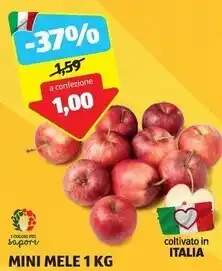 ALDI Mini mele offerta