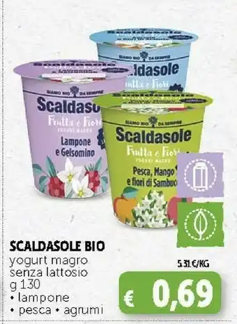 Deco Supermercati Scaldasole Yogurt Magro Senza Lattosio offerta