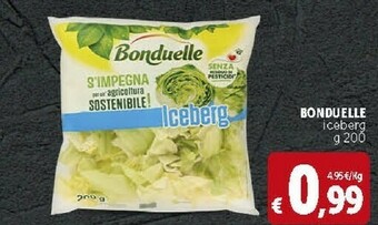 Deco Supermercati Bonduelle Iceberg offerta