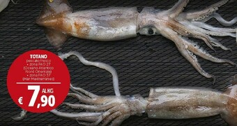 Deco Supermercati Totano Pescato Fresco offerta