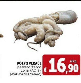 Deco Supermercati Polpo Verace Pescato Fresco offerta