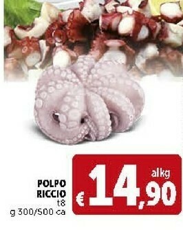 Deco Supermercati Polpo Riccio offerta