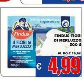Vivo Supermercati Findus 4 Fiori Di Merluzzo 300 G(ml) offerta