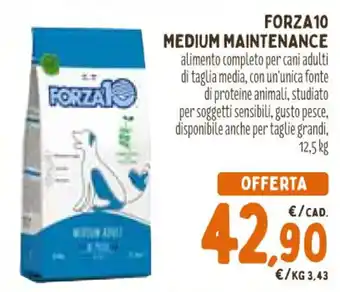 FORZA 10 MEDIUM MAINTENANCE 12,5 kg