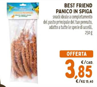 Spazio Conad BEST FRIEND PANICO IN SPIGA 250 g offerta