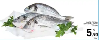 Spazio Conad ORATA FRESCA 300/400 ALLEVATO ESTERO offerta
