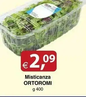 Docks Cash&Carry Ortoromi Insalata offerta