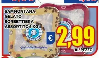 Vivo Supermercati Sammontana Gelato Sorbettiera offerta