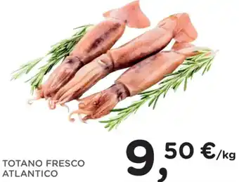 Poli TOTANO FRESCO ATLANTICO offerta