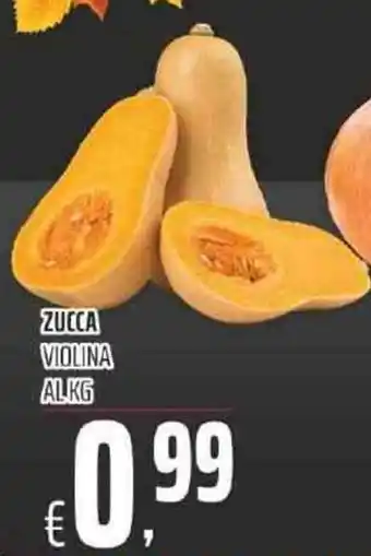 Coop ZUCCA VIOLINA offerta