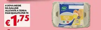 Borello Supermercati Pam 6 Uova Medie Da Galline Allevate A Terra offerta