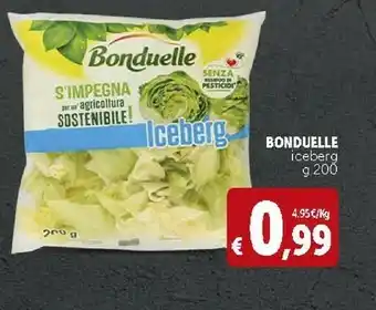 Deco Supermercati Bonduelle Iceberg offerta