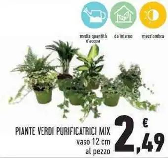 Conad Margherita Piante Verdi Purificatrici Mix offerta