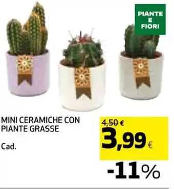 Coop MINI CERAMICHE CON PIANTE GRASSE offerta