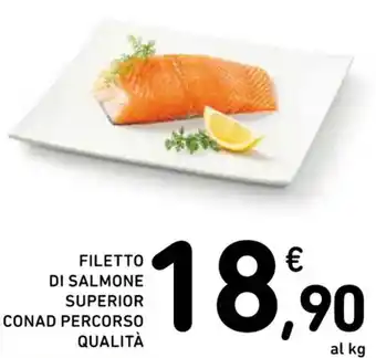FILETTO DI SALMONE SUPERIOR CONAD PERCORSO QUALITÀ