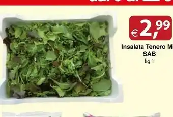 Docks Cash&Carry Sab Insalata offerta