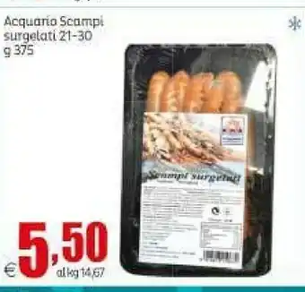 Acquario Scampi Surgelati