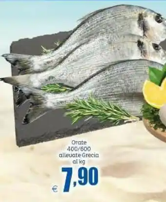 Orate 400 G Alievate Grecia