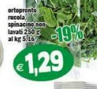 Ortopronto Insalata