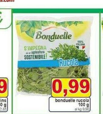 Gros Bonduelle Rucola 100 G(ml) offerta