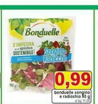 Gros Bonduelle Songino & Radicchio 90 G(ml) offerta