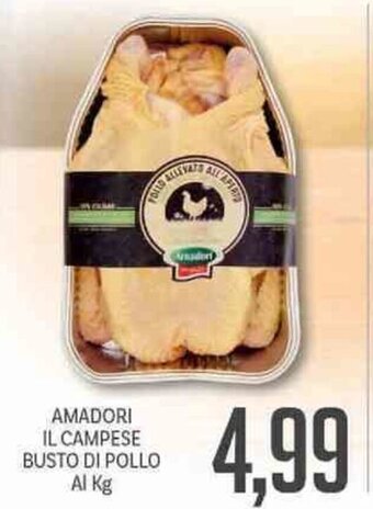 Supermercati Piccolo Amadori Il Campese Busto Di Pollo offerta