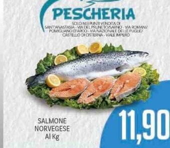 Supermercati Piccolo Salmone Norvegese offerta