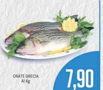 Supermercati Piccolo Orate Grecia offerta