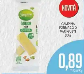 Supermercati Piccolo Campina Formaggio Vari Gusti 80 g offerta