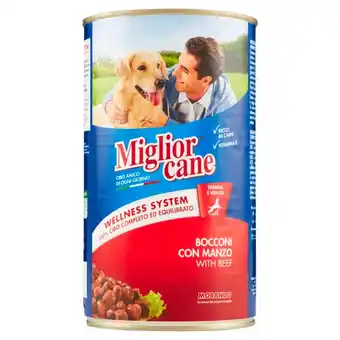 Mercati di Città La Prima Miglior cane offerta