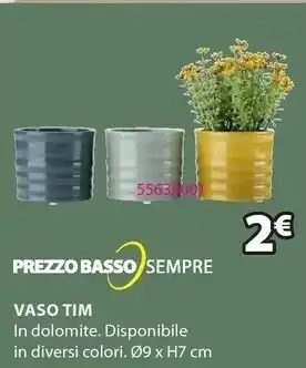 Vaso Tim In Dolomite