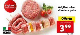 Lidl Grigliata Mista Di Suino E Pollo offerta