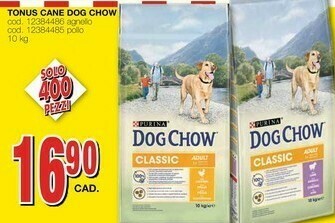 Mondo Brico Cibo per cani offerta