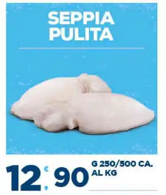 Deco Supermercati SEPPIA PULITA G 250/500 CA. offerta