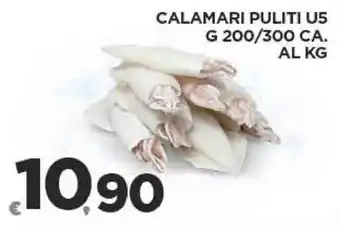 Deco Supermercati CALAMARI PULITI US G 200/300 CA. offerta