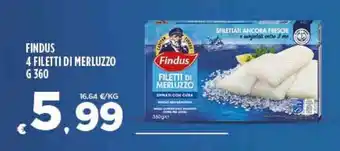 Deco Supermercati FINDUS 4 FILETTI DI MERLUZZO G 360 offerta