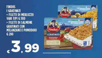 Deco Supermercati FINDUS I GRATINATI - FILETTI DI MERLUZZO VARI TIPI G 380 offerta