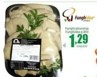 Elite Funghidea Funghi Pleurotus offerta