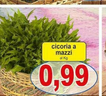 Gros Mazzi Verdure offerta