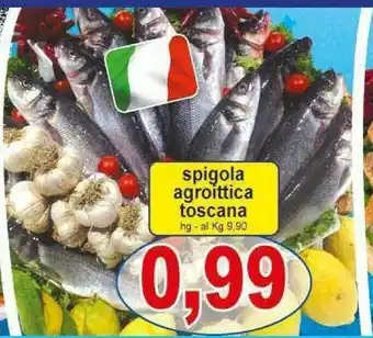 Agroittica Orata