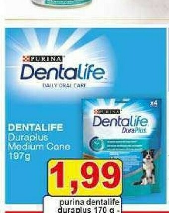 Pewex Purina Cibo per cani offerta