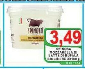 Gros Spinosa Mozzarella di bufala offerta