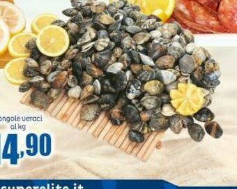 Elite Vongole Veraci offerta
