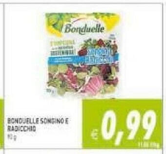 Gros Bonduelle Insalata offerta