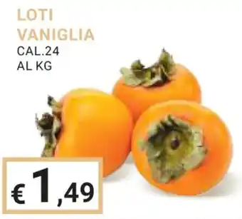 Eté LOTI VANIGLIA offerta