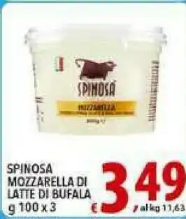 Iper Triscount Spinosa Mozzarella di bufala offerta